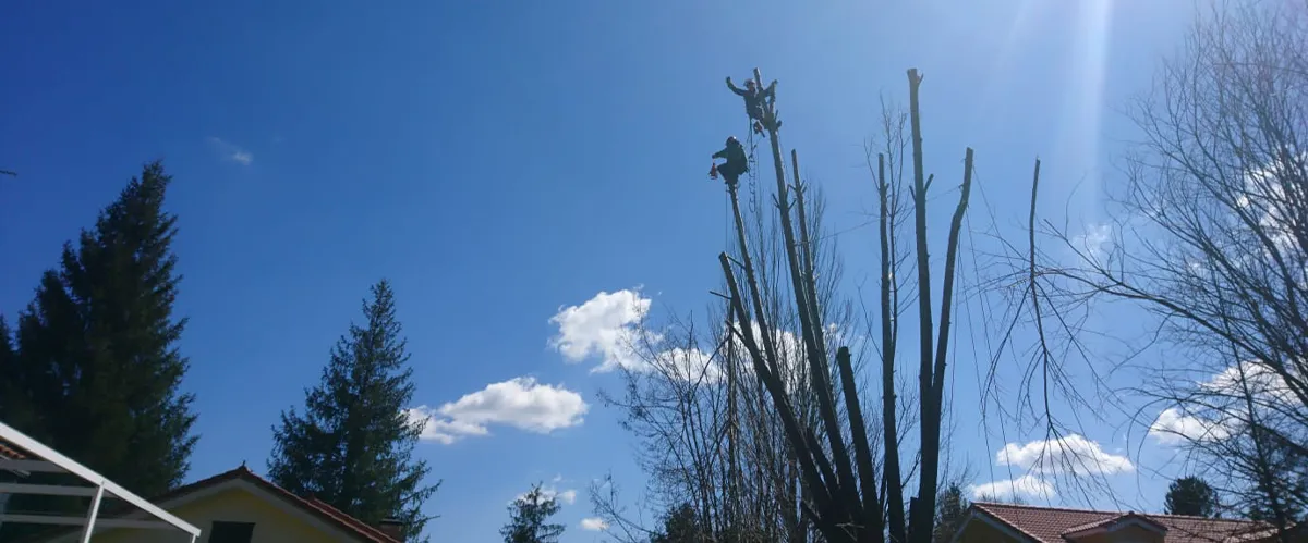 Banner-Contacto Banner Contacto