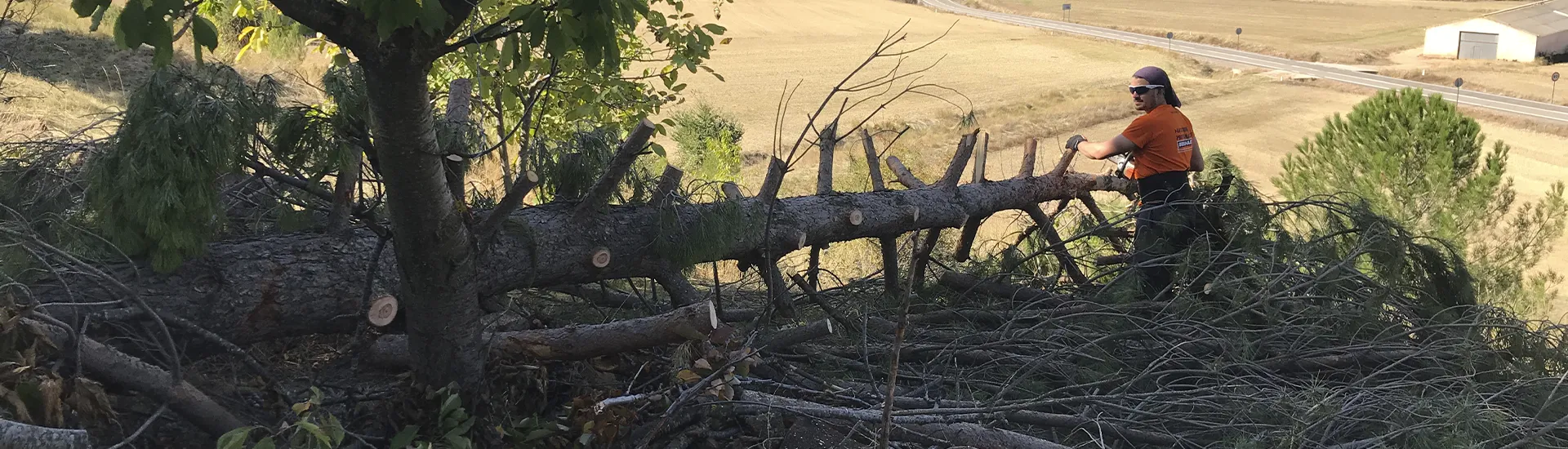 Banner-QuienesSomos Banner Poda